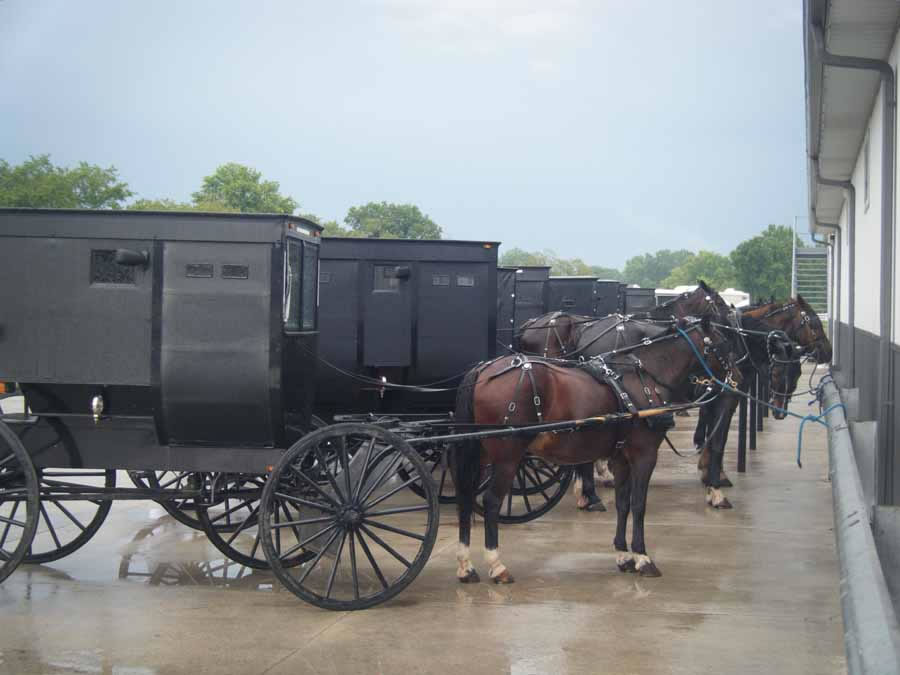 IN - Amish Hourses
