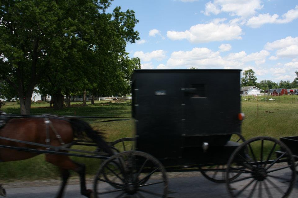 The interesting things we pass on the road in Shipshewana, IN